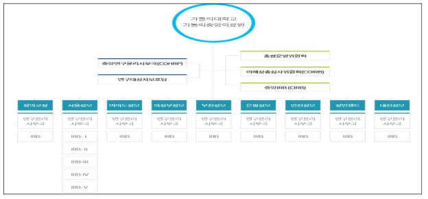 가톨릭대학교 중앙의료원 중앙 IRB(CIRB) 조직도