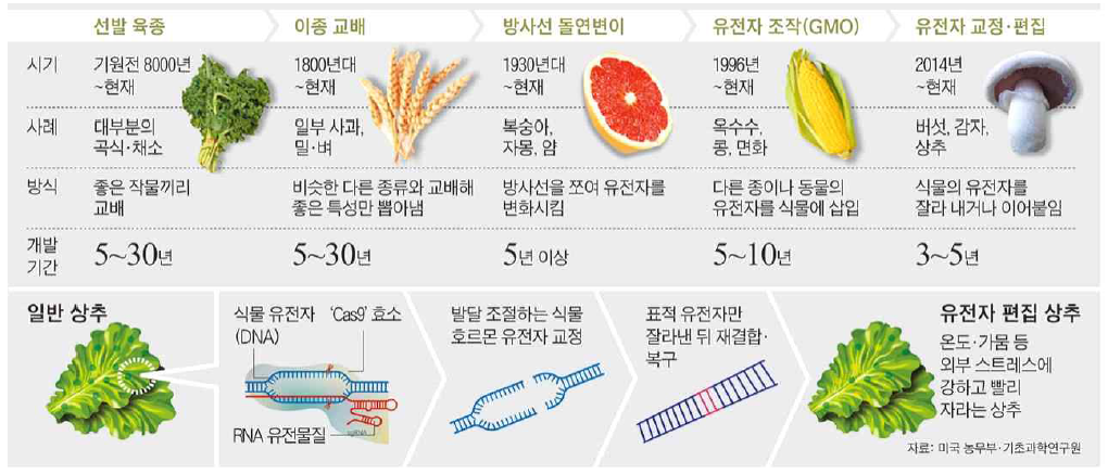 식용 식물의 발달 ※ 출처: http://image.chosun.com/sitedata/image/201701/20/2017012000919_1.jpg