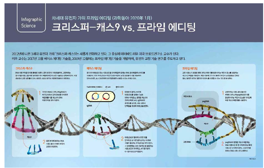 3, 4세대 유전자가위의 비교 ※ 출처: https://dl.dongascience.com/magazine/info/?group=013&pg=2 ※ 가이드 RNA를 통해 표적 DNA에 결합하게 되면 Cas9 단백질이 가지고 있는 두 개의 DNA 절단 도메인이 활성화 되어 표적 DNA를 자르게 됨 ※ 가이드 RNA는 ZFN, TALEN의 DNA 결합모듈 단백질에 비해 쉽고 효율적으로 제작이 가능하기 때문에 현존하는 유전자가위 중에서 가장 기술적 파급력이 커 생명공학 연구 및 산업분야 적용이 활발