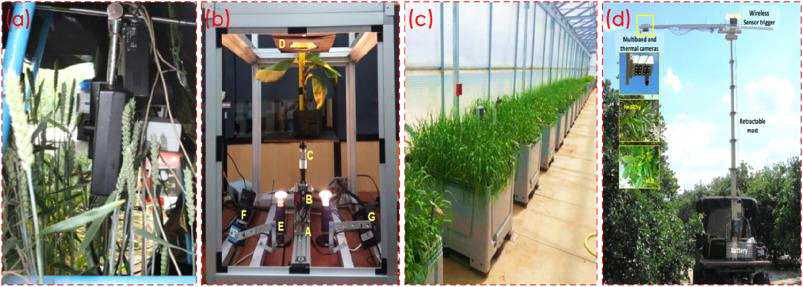 식물 질병 탐지를 위한 플랫폼. (a) 초분광 및 엽록소 형광 이미징, (b) 바나나 식물의 질병 스캐닝을 위한 초분광 이미징 시스템, (c) 초분광 이미징: 실험실에서 현장으로, (d) 감귤 녹화 감지를 위한 적외선 및 열화상 시스템