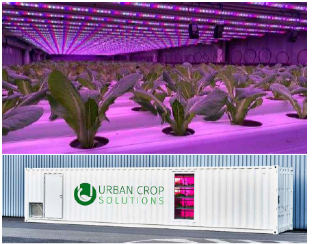 Uban Crop solutions의 컨테이너형 수직농장 ※ 출처: Urban Crop Solutions(https://urbancropsolutions.com/)