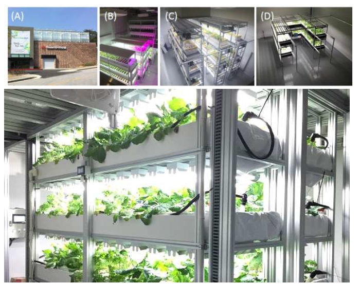 KIST Smart U-farm 수직농장 모습 (A: 건물외관 모습, B: 1번 재배실, C: 2번 재배실, D: 3번 재배실)