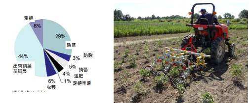 작약 재배농자의 노동시간(NARO) 및 감초 제초기계