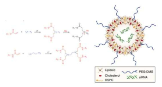 lipidoid 기반의 mRNA 전달체(Nature communications, 2014, 5.1: 1-10)