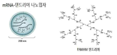 덴드리머 기반 전달체 (Nat. Rev. Drug Discov. 2018, 17: 261)