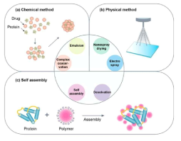 단백질 기반 나노 입자의 형성 (Pharmaceutics, 2020, 12.7: 604)