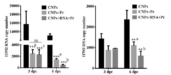 키토산 기반의 나노 입자의 효능 (Veterinary research, 2020, 51.1: 1～17)