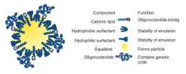 CNE 기반의 mRNA 전달체 모식도 (Molecular Therapy, 2014, 22.12: 2118～2129)