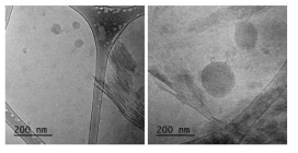 Terpolymer로 만든 나노 입자의 cryo-TEM (Advanced healthcare materials, 2018, 7.14: 1800249)