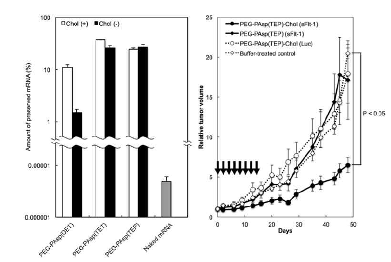 polyplex nanomicelle 기반 전달체의 mRNA 담지 효율 및 종양 성장 억제 (Biomaterials, 2016, 82: 221～228)