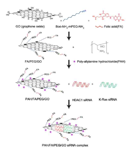 그래핀 산화물의 PEG 표면 개질화 및 표적화 물질 접합 후 siRNA와 복합체 형성(Theranostics, 2017, 7 (5), 1133)