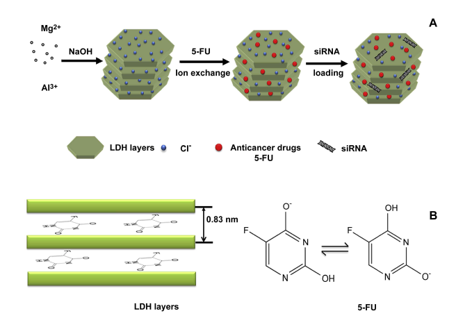 LDH 층상 구조 내부에 siRNA와 항암제를 봉입하여 세포 내로 전달하는 항암치료제(Biomaterials, 35(10), 2014, 3331～3339)