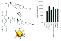 Zr 이온 기반의 MOF 내부에 mRNA 봉입 후, 세포 내 전달하여 발현 확인 (Chemical Communications, 54(80), 11304-11307)