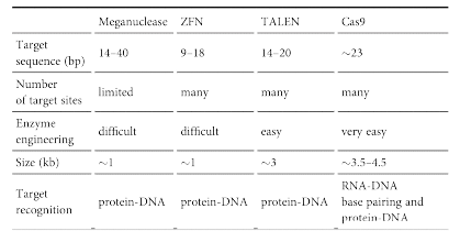 유전자 편집에 사용되는 다양한 핵산분해 효소들의 특징 (Zhang et al., Molecular Therapy 2019)