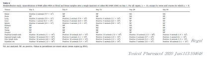 랫트에서 주요조직별 rabies mRNA vaccine 분포 평가의 예