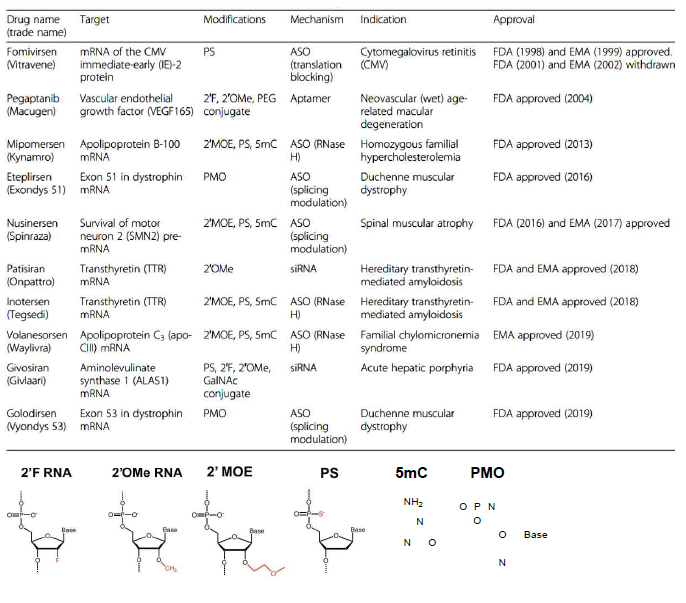 FDA 승인된 변형 뉴클레오사이드를 포함하는 핵산 기반 약물, 2020. 02. (BMC Biology, 2020, 18:112, Nat. Nanotech. 2021, doi:10.1038/s41565-021-00898-0)