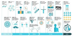 mRNA 백신 개발 마일스톤