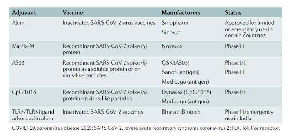 현재 코로나-19 백신 개발에 이용된 백신 면역증강제