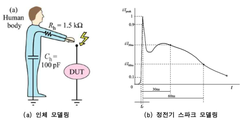 인체 정전기 측정을 위한 모델들