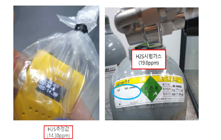 황화수소 (리가스㈜, 19PPM)인가후 밴드에서 H2S농도 측정