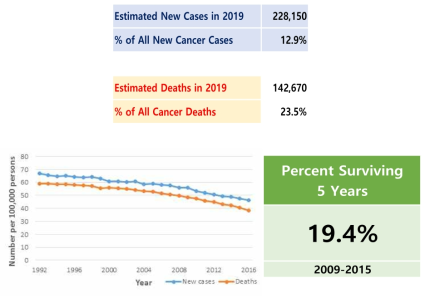 미국 폐암 발생 환자 수 및 사망자수(출처:미국 국립암연구소)