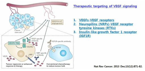 VEGF signaling을 표적으로 하는 치료법 개발의 필요성(Unmet need 3)