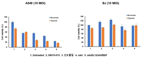oAd/IL12/shVEGF의 암세포 특이적 살상능 검증