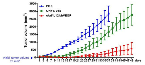 ONYX-015 대비 oAd/IL12/shVEGF의 향상된 항종양 효과
