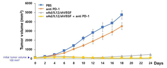 마우스 폐암 피하종양 모델에서의 oAd/IL12/shVEGF과 anti PD-1의 병용투여에 의한