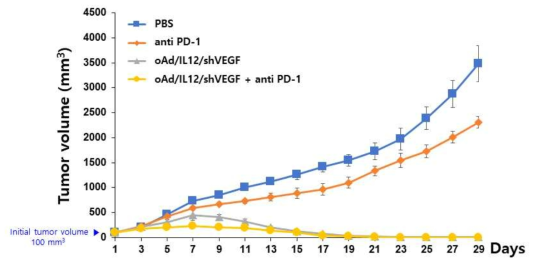 햄스터모델에서의 oAd/IL12/shVEGF과 anti PD-1의 병용투여에 의한 항종양 효과