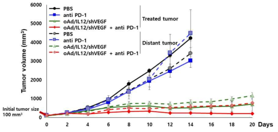 oAd/IL12/shVEGF과 면역체크포인트 차단제의 병용투여에 의한 마우스 폐암 twotumor 모델에서의 기억 면역 반응 검증