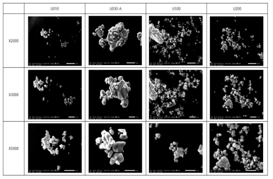 주사전자현미경을 통해 얻은 우라늄 입자 이미지 비교 (2)