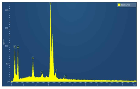 Si-wafer위에 로딩된 우라늄 입자의 EDS 결과