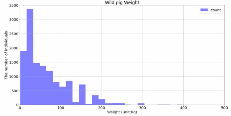 조사된 멧돼지 (n = 13,148)의 체중 분포