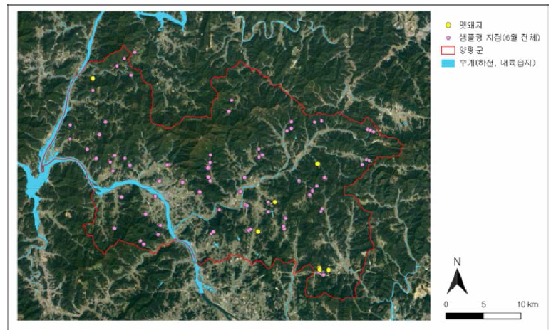 양평군 전체 샘플링 지점(분홍색)과 멧돼지 검출 지점(노란색)