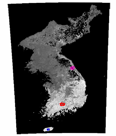 구축된 한반도 전체 지 역 MCD43A4 NDVI 식 생 지수 위성영상 자료 및 1차년도 기후대，자생식물 군락 유형，식생피복 변화를 고려하여 선정된 우선적인 연구대상지역，파란색: 한라산，빨간색: 지리산，분홍색: 설악산