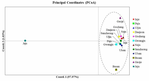 말매미 COI 유전자를 이용한 PCoA 분석