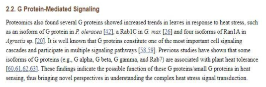 Heat stress와 G protein-mediated signal 연관성 (출처 : Wang et al., 2017)
