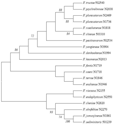 Flavobacterium 20종의 16S rRNA 유전자 계통도