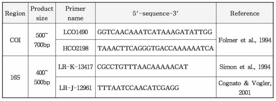PCR에 사용된 primer sets