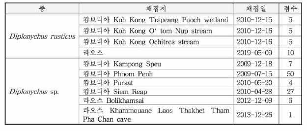 각시물자라속 2종에 대한 국외 표본 정보