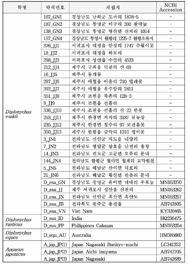 계통분석에 포함된 sequence 목록