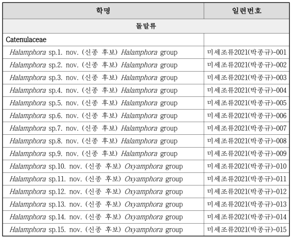 돌말류 분야의 신종/미기록종 후보 목록