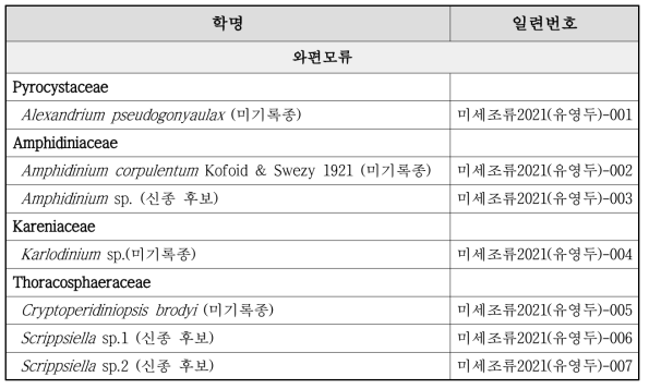 와편모류 분야의 신종/미기록종 후보 목록