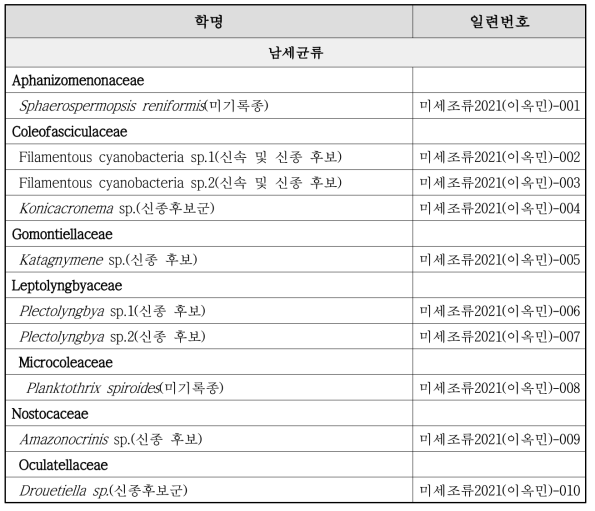 녹조류와 남세균류 분야의 신종/미기록종 후보 목록