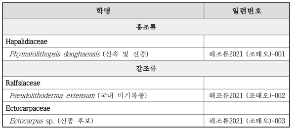 해조류 분야의 신종/미기록종 후보 목록