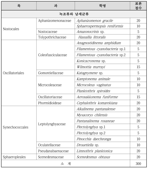 녹조류와 남세균류 확보 표본 목록