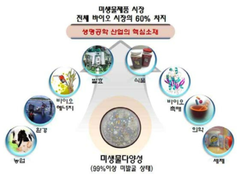 미생물의 산업적 활용 및 가치