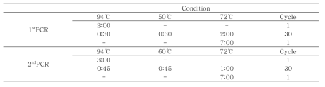 Bd PCR 조건