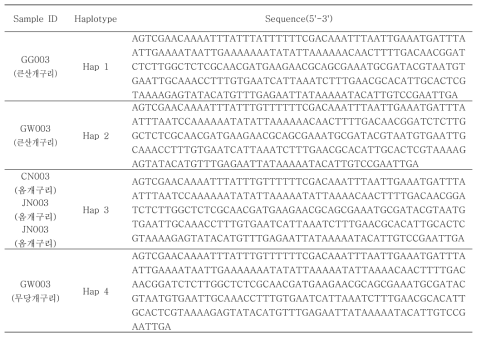 새롭게 확인된 haplotype 정보